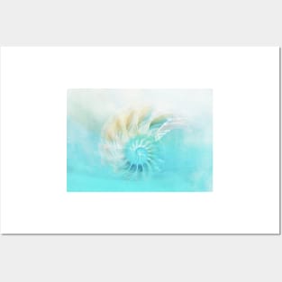 Pale Blue Nautilus Shell Posters and Art